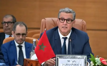 أخنوش: الشراكة المغربية الفرنسية دخلت مرحلة التنفيذ الكامل
