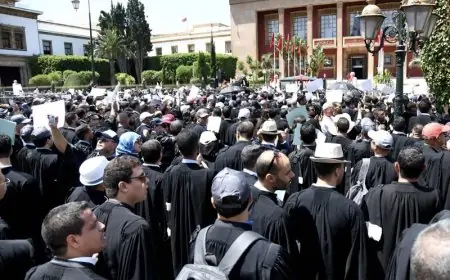 المحامون يواصلون التوقف الشامل عن العمل بسبب مشروع قانون المهنة