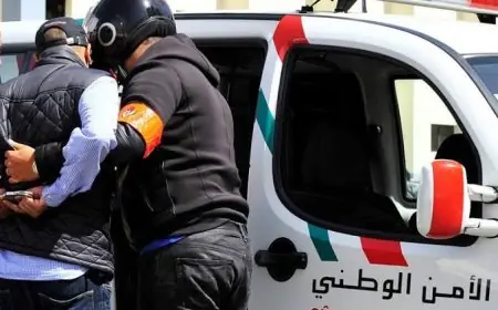 توقيف شخصين وحجز كميات كبيرة من الأقراص المهلوسة في عمليتين أمنيتين بسلا والخميسات