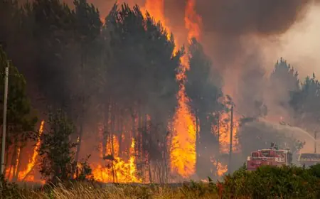 Canada, Espagne, Écosse : la planète suffoque face à des incendies de forêt historiques attisés par la chaleur