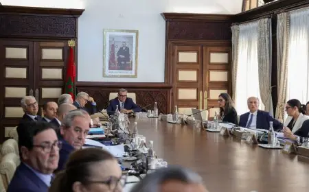 مجلس الحكومة يصادق على تعيينات جديدة في مناصب عليا