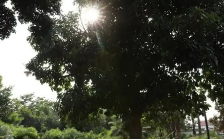 توقعات أحوال الطقس اليوم الأحد بالمغرب