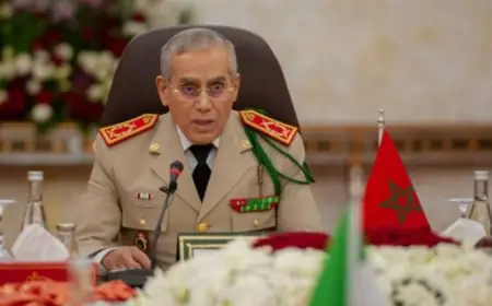 بتعليمات ملكية.. لوديي يستقبل كبير مستشاري الدفاع البريطاني لتعزيز التعاون العسكري
