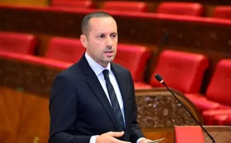 تدهور صحة أم ووفاة رضيعها بمستشفى كلميم يجران وزير الصحة إلى المساءلة البرلمانية