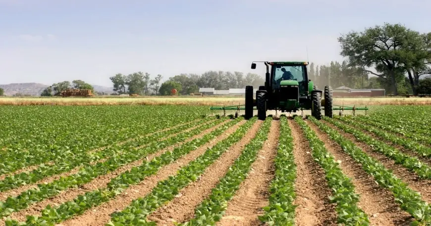Agriculture : Le ministère lance une étude pour accélérer la mise en œuvre de la stratégie "Génération Green 2020-2030"