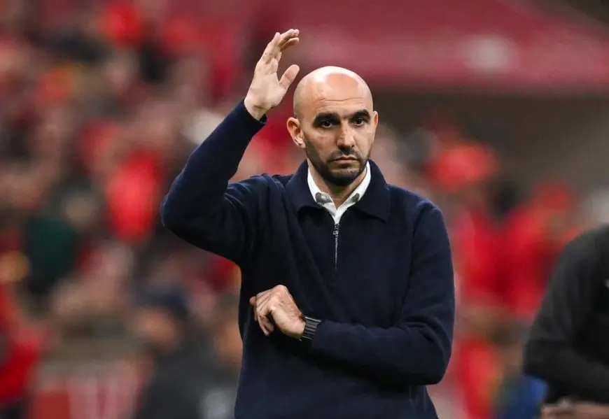 وليد الركراكي يدخل دائرة المرشحين لقيادة منتخب الإكوادور