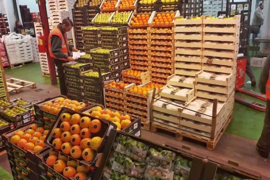 ارتفاع صادرات المنتجات الغذائية الفلاحية بالمغرب بنسبة 32% خلال سنة 2025