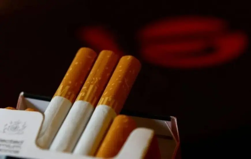طبيبة: التدخين والأطعمة المصنعة يرفعان خطر الوفاة المبكرة