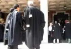 وزارة العدل تعلن تنزيل قانون المحاماة الجديد بالتنسيق مع هيئات المحامين بعد صدوره بالجريدة الرسمية