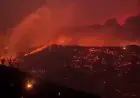 Algérie : au moins 73 morts dans des incendies à Jijel