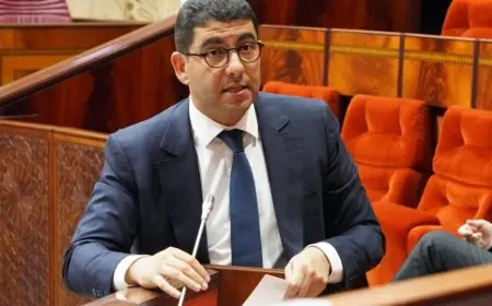 مغاربة يتساءلون: أين غاب وزير الشباب والتواصل محمد المهدي بنسعيد خلال أزمة الهجرة الجماعية إلى سبتة؟