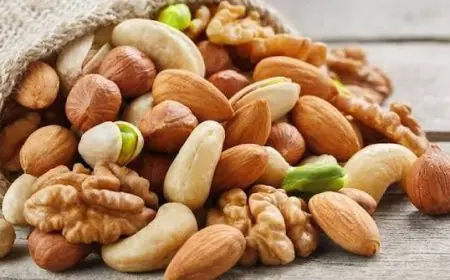 خبير تغذية: المكسرات تعزز صحة الدماغ وتقي من الاكتئاب