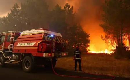 Gironde : plus de 330 pompiers pris en charge médicalement après dix jours de lutte contre l’incendie