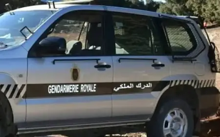الدرك الملكي يفكك شبكة لترويج أغذية مجهولة المصدر بين إفران وفاس