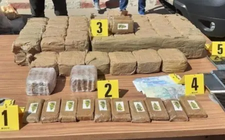 توقيف سائق شاحنة وإحباط عملية تهريب 350 كيلوغراماً من الشيرا بميناء طنجة المتوسط