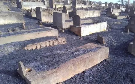 حريق مهول يلتهم مقبرة الشهداء بوادي زم