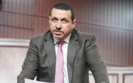 المحكمة الدستورية تعلن شغور مقعد البرلماني امبارك حمية