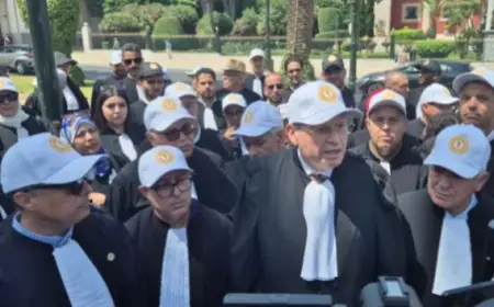 بسبب عيب إجرائي في الإحالة.. المحكمة الدستورية ترفض البت في قانون المحاماة