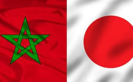 Commerce Maroc-Japon : les échanges bondissent de 32% à 3,8 MMDH au premier semestre 2026