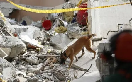 Séisme de magnitude 5,5 au large du Salvador : secousses ressenties jusqu'au Honduras et au Nicaragua sans dégâts