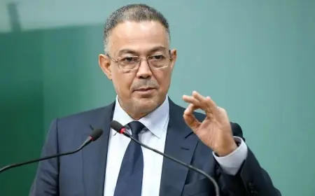 فوزي لقجع يكشف تحفيزات حكومية جديدة للفنانين