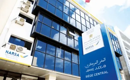نارسا تنفي اعتماد العلم الوطني للمغرب في لوحات ترقيم السيارات الجديدة