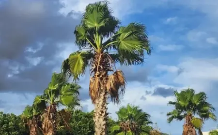 الأرصاد تحذر من تقلبات جوية بالمغرب خلال الأيام المقبلة
