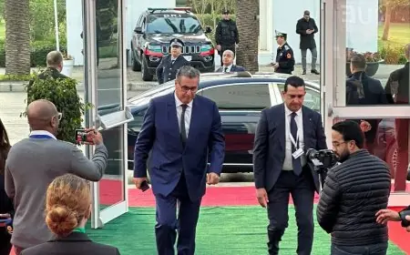 مصدر يحسم الجدل بشأن تعرض عزيز أخنوش لحادث سير نواحي مدينة أكادير