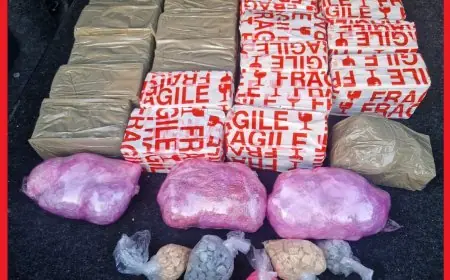 توقيف شخصين بالصويرة وحجز 3690 قرصاً مهلوساً و11 كيلوغراماً من الشيرا