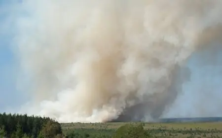 Belgique : un incendie géant ravage 3000 hectares dans la réserve naturelle des Hautes Fagnes