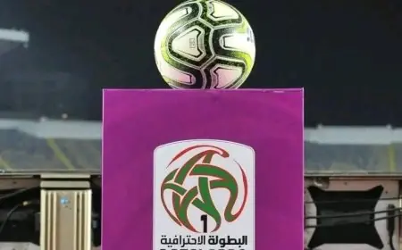 رفع عدد أندية البطولة إلى 20 فريقا.. خطوة التوسع وتحديات الهيكلة