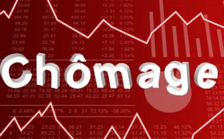 Emploi : Le chômage des jeunes s’aggrave dans le monde, l’Afrique du Nord toujours en queue de peloton selon l’OIT