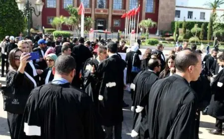 جامعة حقوق المستهلك تحذر من تأثير إضراب المحامين على حقوق المتقاضين
