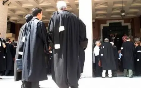 وزارة العدل تعلن تنزيل قانون المحاماة الجديد بالتنسيق مع هيئات المحامين بعد صدوره بالجريدة الرسمية