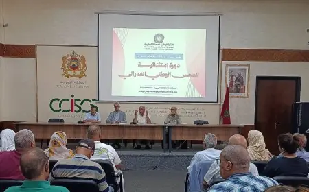 النقابة الوطنية للصحافة تفتح باب الترشح لانتخابات المجلس الوطني وتؤكد التمسك باستقلالية المهنة