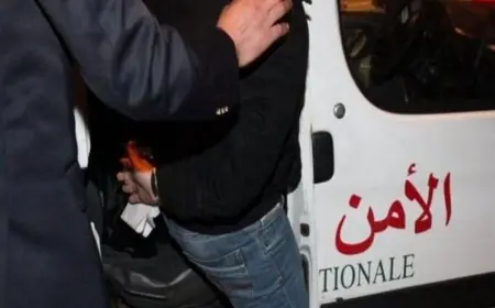 توقيف قاصر بعد تداول فيديو لسرقة هاتف من داخل سيارة بطنجة