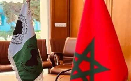 PARACT-M : La BAD salue des performances "très satisfaisantes" du programme marocain