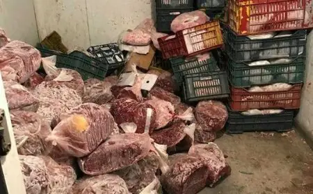 الدرك الملكي بالعرائش يحبط تهريب شحنة ضخمة من اللحوم الفاسدة نحو طنجة