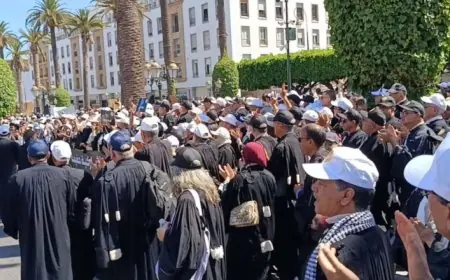 Maroc : les avocats décident de poursuivre la suspension des services professionnels