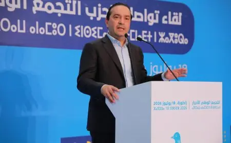شوكي: "الحزب القوي ليس من ينتظر الانتخابات بحثاً عن المجد بل من يستثمر في الميدان والقرب"