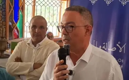 Fouzi Lekjaa renonce à se présenter aux législatives à Berkane