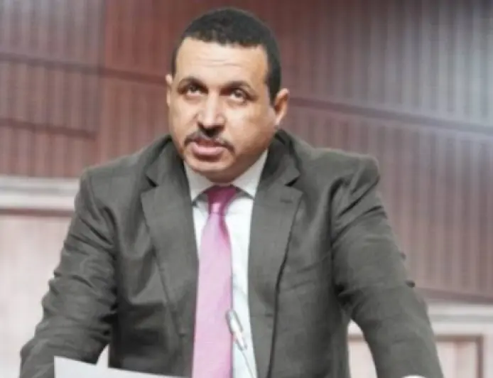 المحكمة الدستورية تعلن شغور مقعد البرلماني امبارك حمية