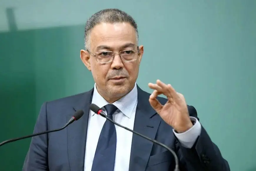 فوزي لقجع يكشف تحفيزات حكومية جديدة للفنانين