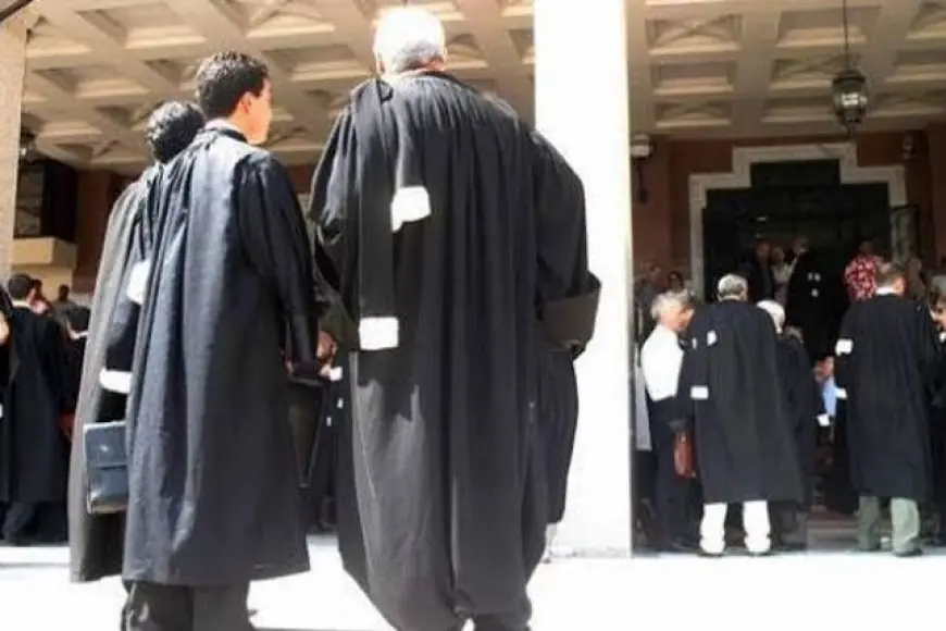 وزارة العدل تعلن تنزيل قانون المحاماة الجديد بالتنسيق مع هيئات المحامين بعد صدوره بالجريدة الرسمية