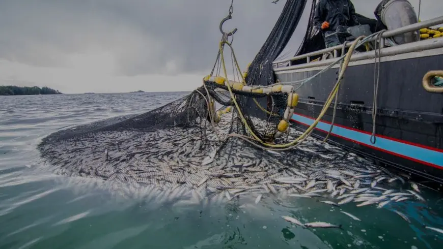 Port de Tanger : +92% de débarquements de produits de la pêche au premier semestre 2026