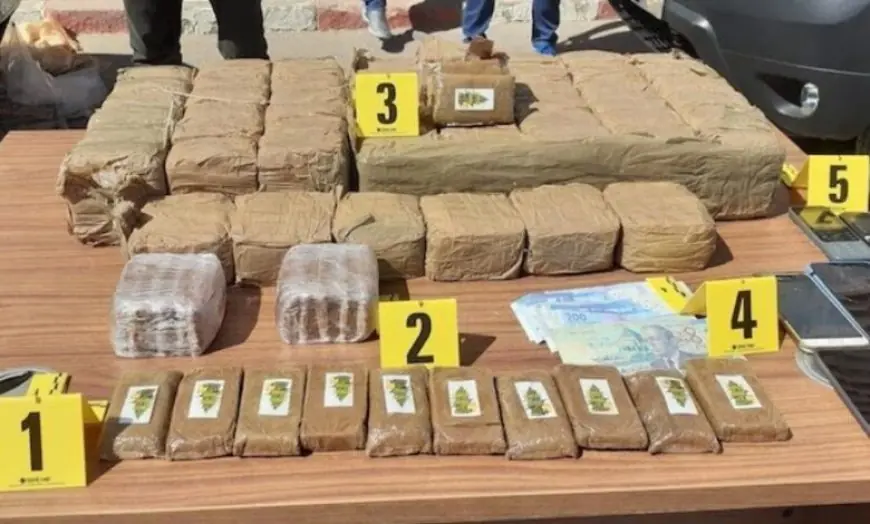 توقيف سائق شاحنة وإحباط عملية تهريب 350 كيلوغراماً من الشيرا بميناء طنجة المتوسط