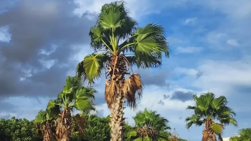 الأرصاد تحذر من تقلبات جوية بالمغرب خلال الأيام المقبلة