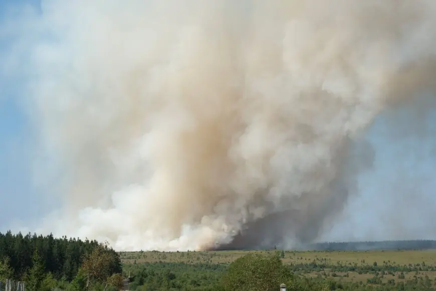 Belgique : un incendie géant ravage 3000 hectares dans la réserve naturelle des Hautes Fagnes
