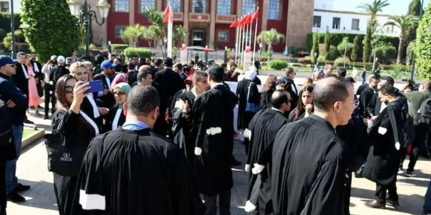 جامعة حقوق المستهلك تحذر من تأثير إضراب المحامين على حقوق المتقاضين