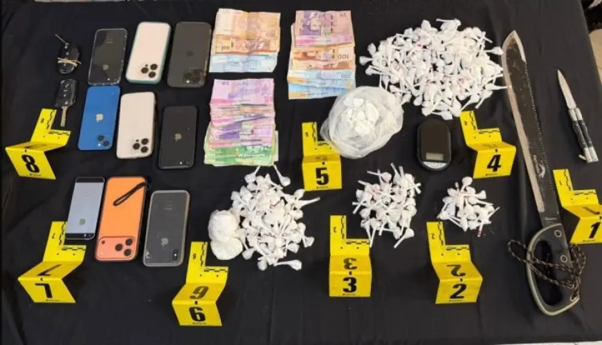 توقيف 4 أشخاص وحجز 313 غراما من الكوكايين بطنجة